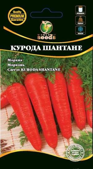 Морква Курода Шантане 2г. WoS Морква Курода Шантане 2г. WoS