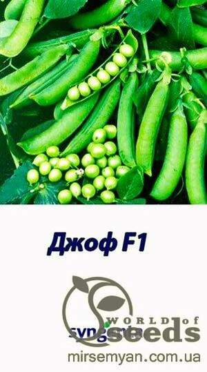 Горох овочевий Горох овочевий