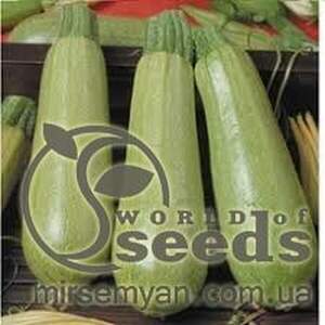 Кабачок «Сціллі» F1 1000 насінин, Seminis