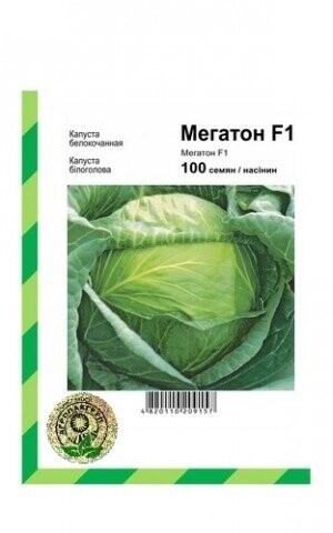 Капуста білокачанна Мегатон F1 - 100 насінин А (Bejo Zaden) Капуста білокачанна Мегатон F1 - 100 насінин А (Bejo Zaden)