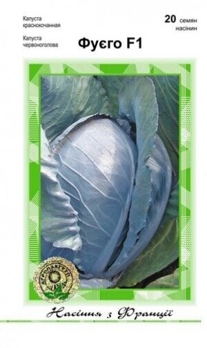 Капуста червонокачанна Фуєго F1 - 20 насінин А (Clause Tezier) Капуста червонокачанна Фуєго F1 - 20 насінин А (Clause Tezier)