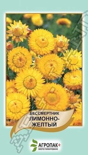 Безсмертник Лимонно-жовтий – 0,2 грама А
