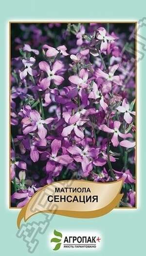 Маттіола дворога Сенсація - 0,5 грам