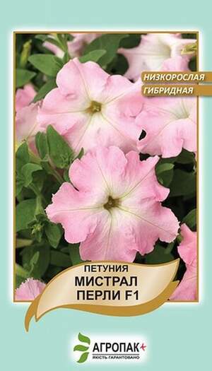 Петунія великоквіткова низькоросла Містрал Перлі F1 - 20 насінин, А