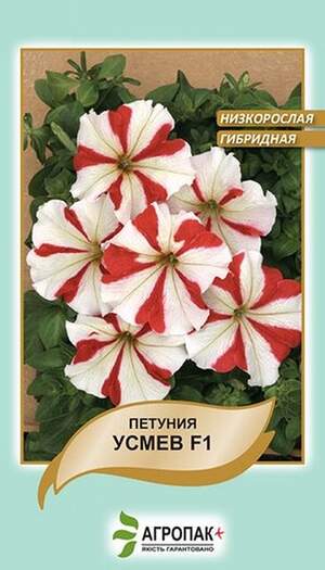 Петунія великоквіткова низькоросла Усмєв F1 - 20 насінин