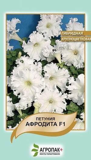 Петунія великоквіткова бахромчаста низькоросла Афродіта F1, біла - 10 насінин.
