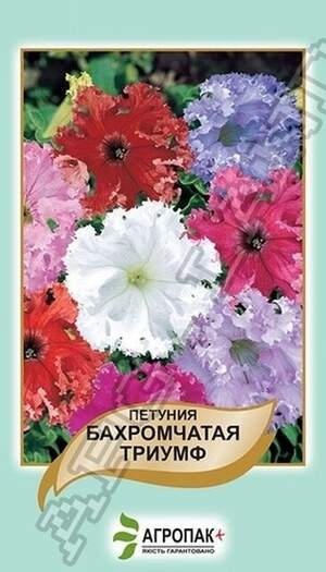 Петунія бахромчаста Тріумф, суміш - 50 насінин,