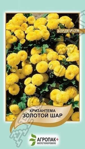 Хризантема бордюрна Золота куля - 0,05 грам