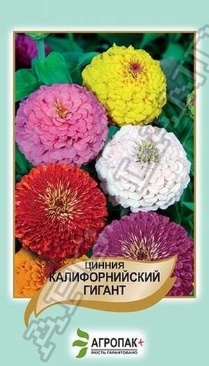 Цинія витончена Каліфорнійський гігант - 0,5 грам