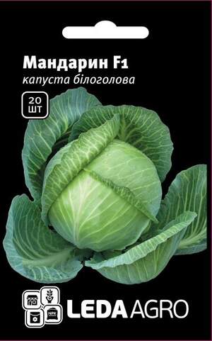 Капуста білокачанна, 