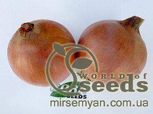 Цибуля ФУНДАДОР F1 (FUNDADOR F1) 250000 с. Cora Seeds