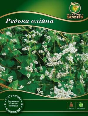 Насіння Насіння