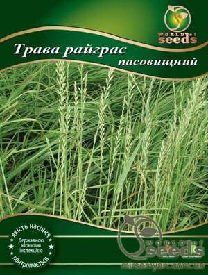 Насіння Насіння