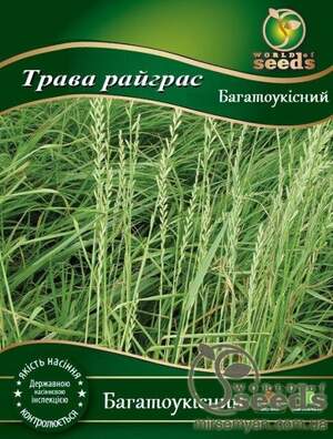 Насіння Насіння