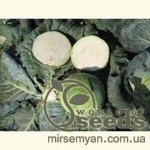 Капуста білокачанна Капорал F1 10 000 насінин Клоз, (Clause)
