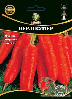 Морква Морква