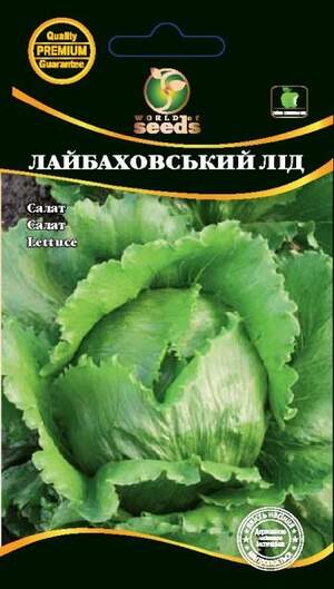 Насіння салату Насіння салату