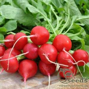 Редис 