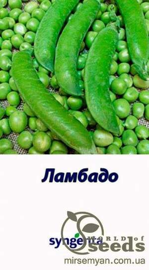 Горох овочевий Ламбадо - 100 г. (Syngenta) WoS