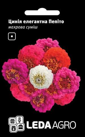 Ціннія Пепіто махрова суміш 0.3 г L (Hem Zaden BV Netherlands)