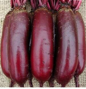 Буряк Карилон (2,75-3,5) 100 000 насінин (Rijk Zwaan)