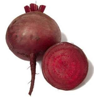 Буряк Джолі F1/Djoli F1 50 000 нас. Hazera