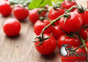 Насіння томату 