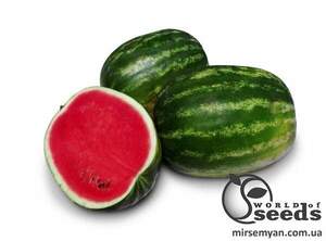 Насіння кавуна 