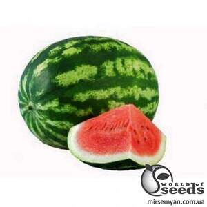 Насіння кавуна 