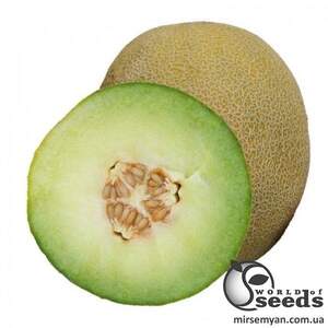 Насіння дині 
