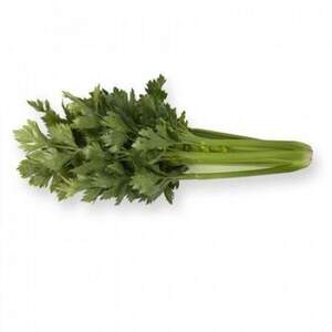 Селера черешковий 