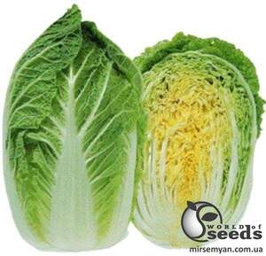 Капуста пекінська 