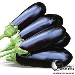 Баклажан Нарвал F1 1000 нас.  (Lark Seesd USA)