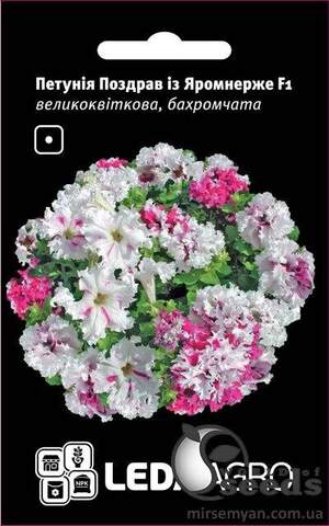 Петунія Поздоровлення з Яромнерже F1, великоквіткова бахромчаста 10 семена Л