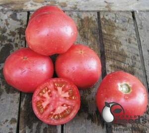 Томат Тарпан F1 10 семена Л