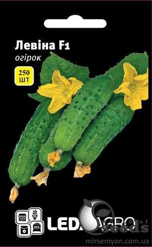 Огірок Левіна F1 250 семена Л