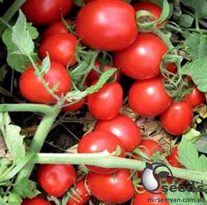 Томат Перфектпіл F1 50 сем., Л