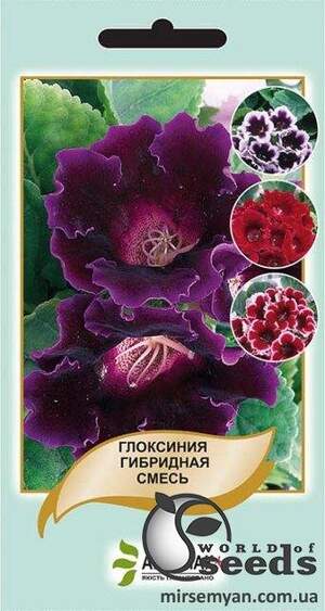 Глоксинія гібридна суміш 20 семена А