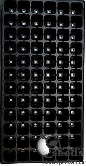 Касети для розсади 72 H (6*12) Касети для розсади 72 H (6*12)