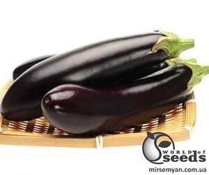 Баклажан Найт Леді F1 1000 нас. (United Genetics)