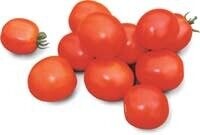 Томат «Солероссо» F1 5 000н. Нунемс (Nunhems)