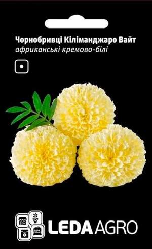 Бархатцы Килиманджаро Уайт, африканские кремово-белые 0,2гр.L Бархатцы Килиманджаро Уайт, африканские кремово-белые 0,2гр.L