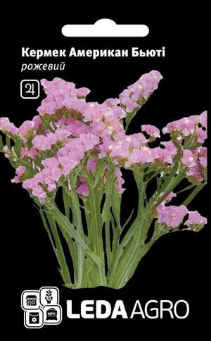 Кермек, рожевий Американ Бьюті 5 г. L